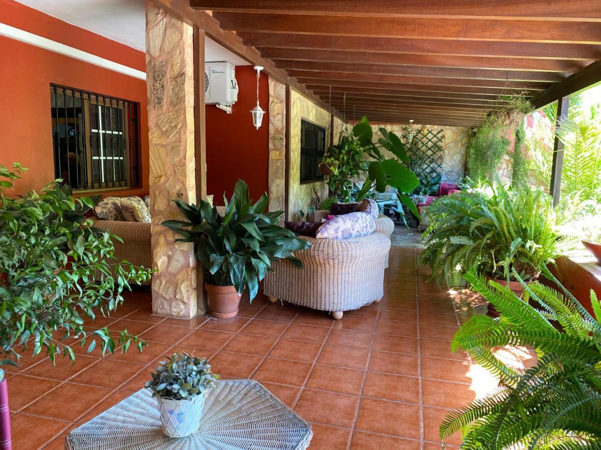 Apartment Casa Lazaro, Tegueste